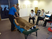 Accreditation success for Full Movement Method therapy training