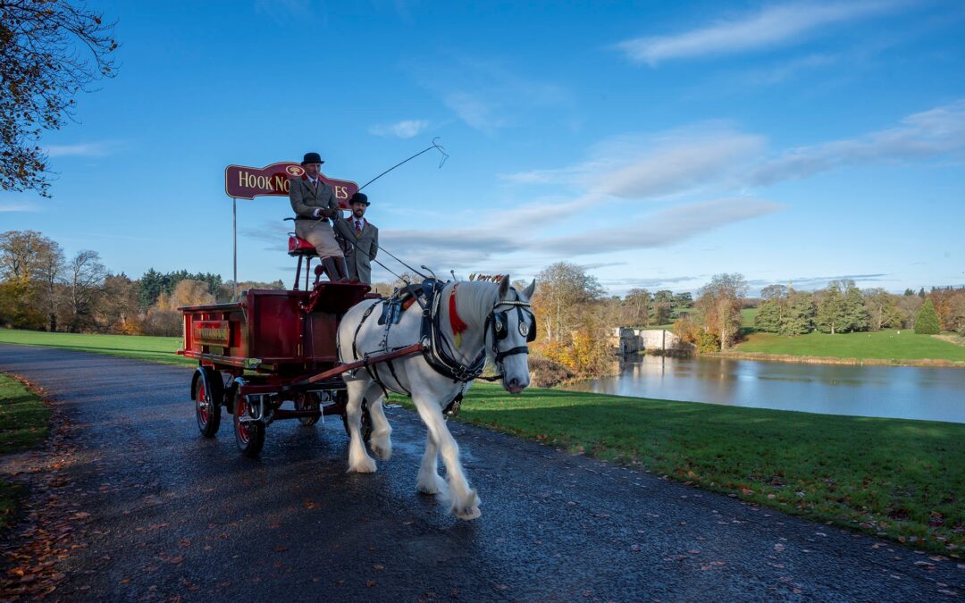 Shire horses to trot into Newark to promote National Shire Horse Show