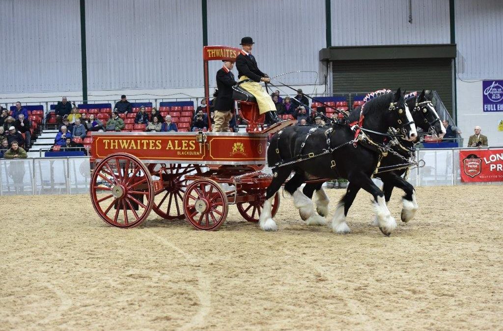 Date announced for 2020 Shire Horse National Show