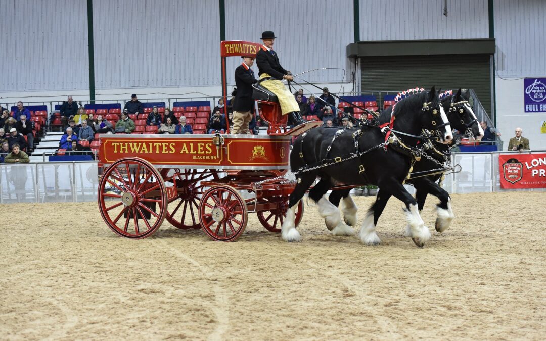 Big news as Shire Horse Show returns to Staffordshire Showground with exciting new programme